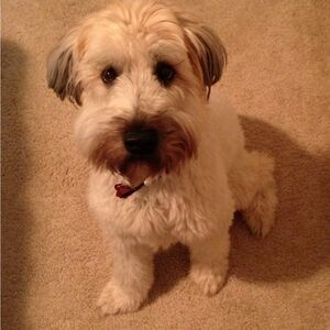 Meet your Posher, Tiffany